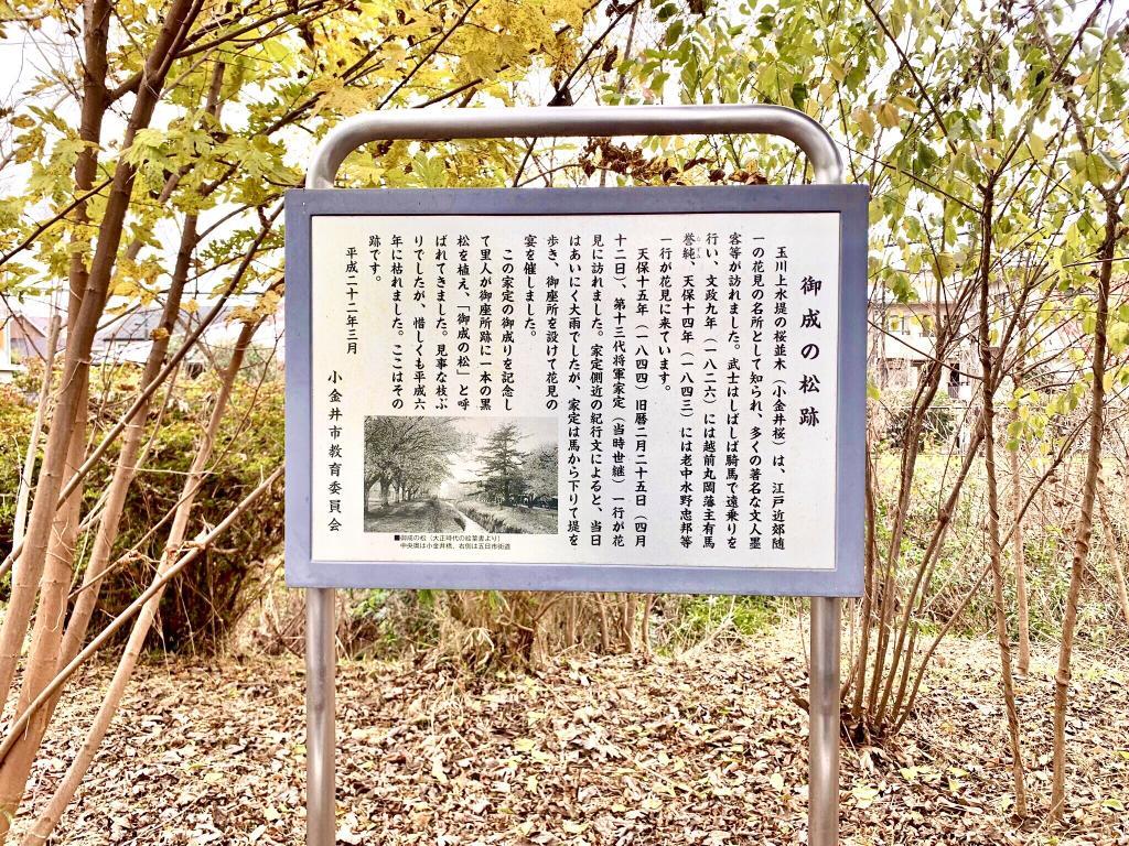 玉川上水