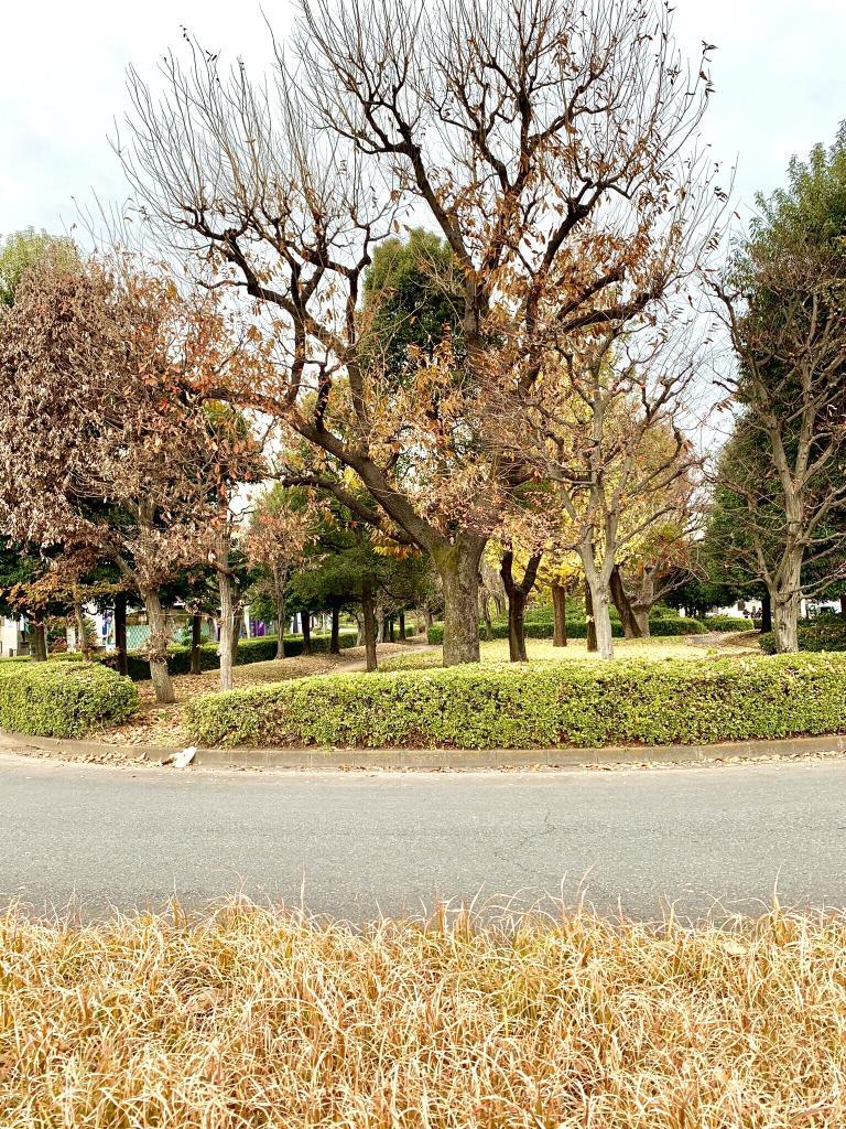 玉川上水