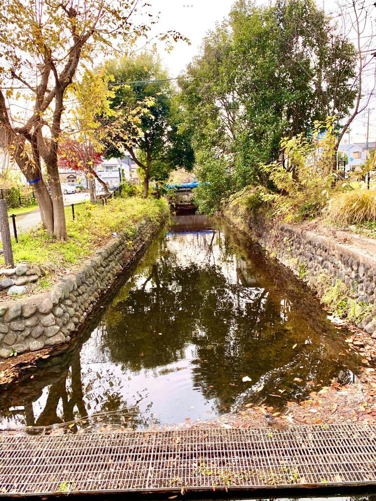 玉川上水