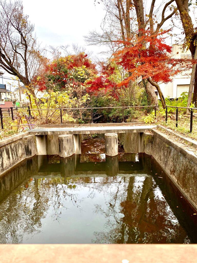 玉川上水
