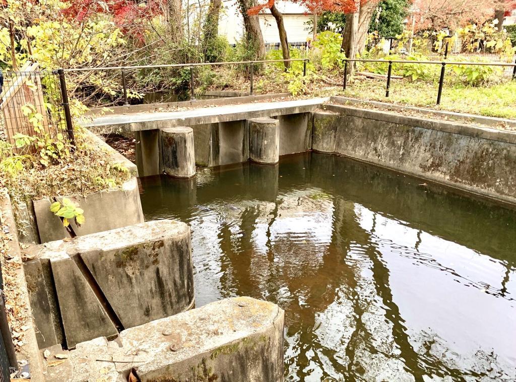 玉川上水
