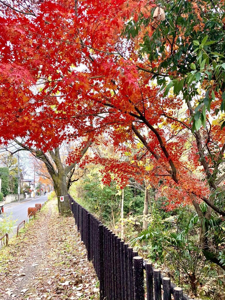 玉川上水