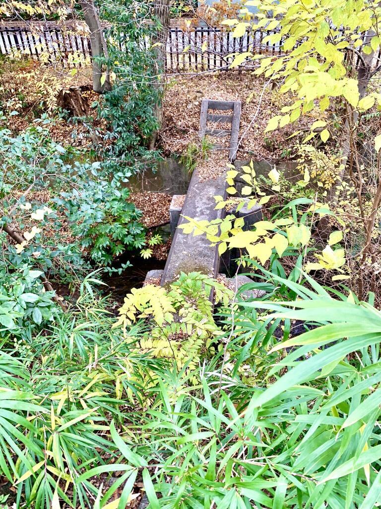 玉川上水