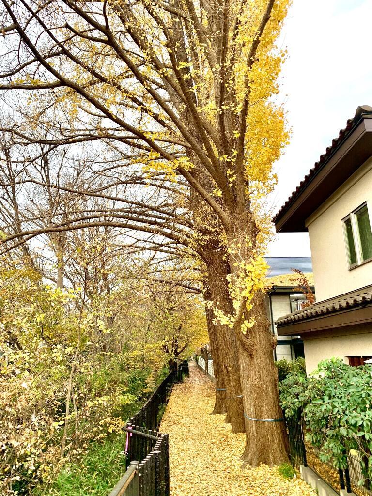 玉川上水