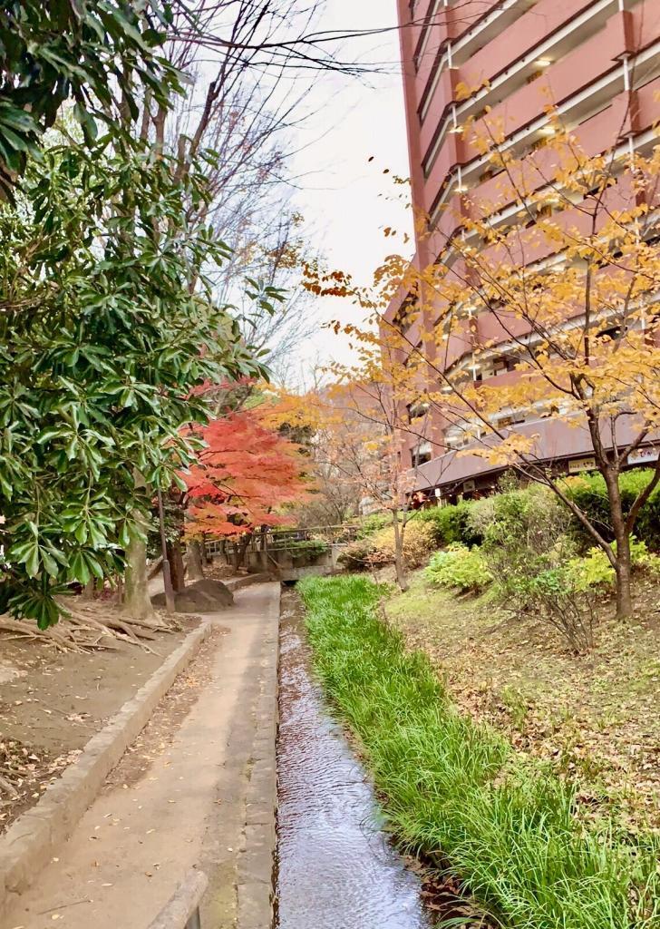 玉川上水