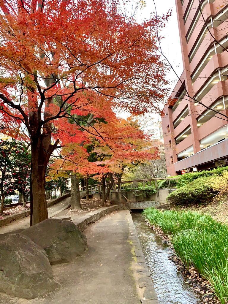 玉川上水