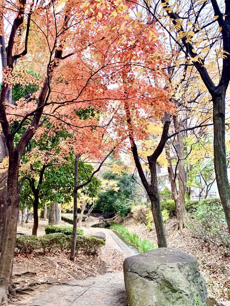 玉川上水