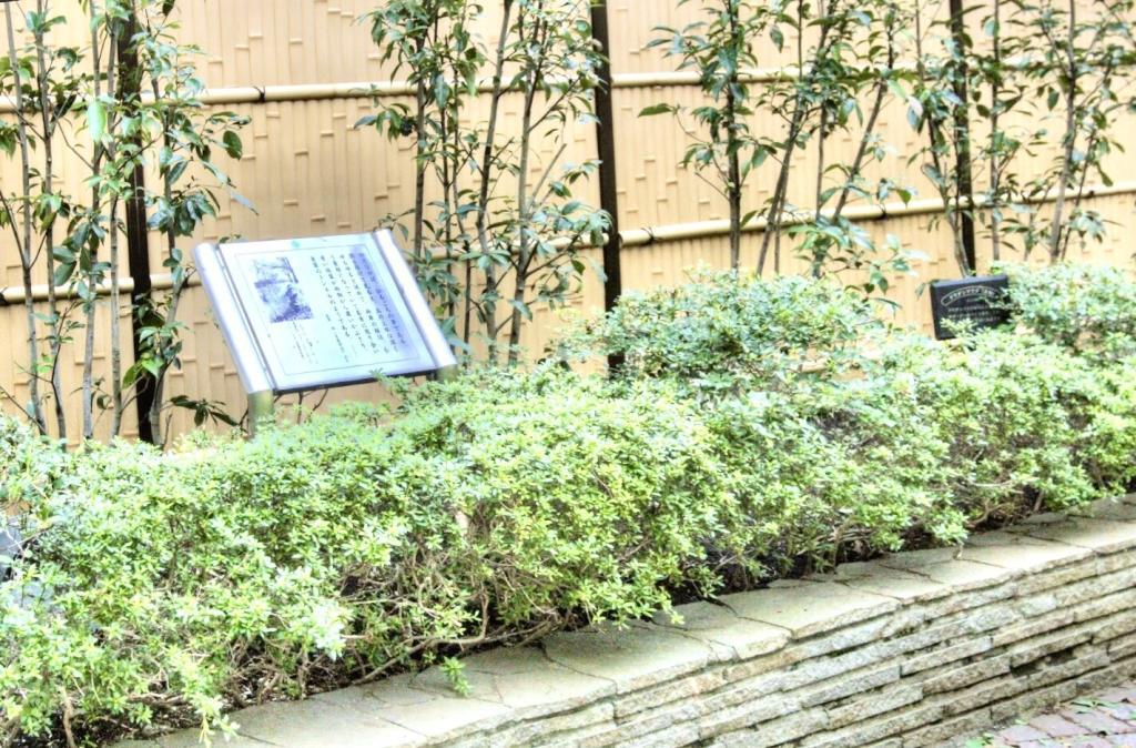 玉川上水