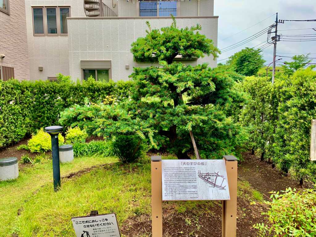 玉川上水