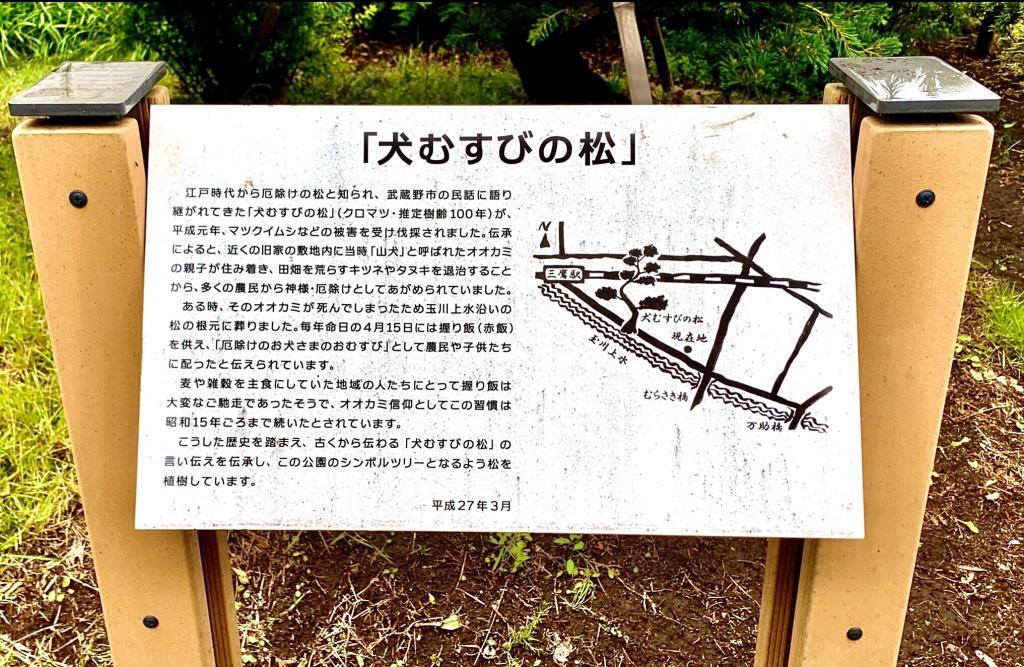 玉川上水