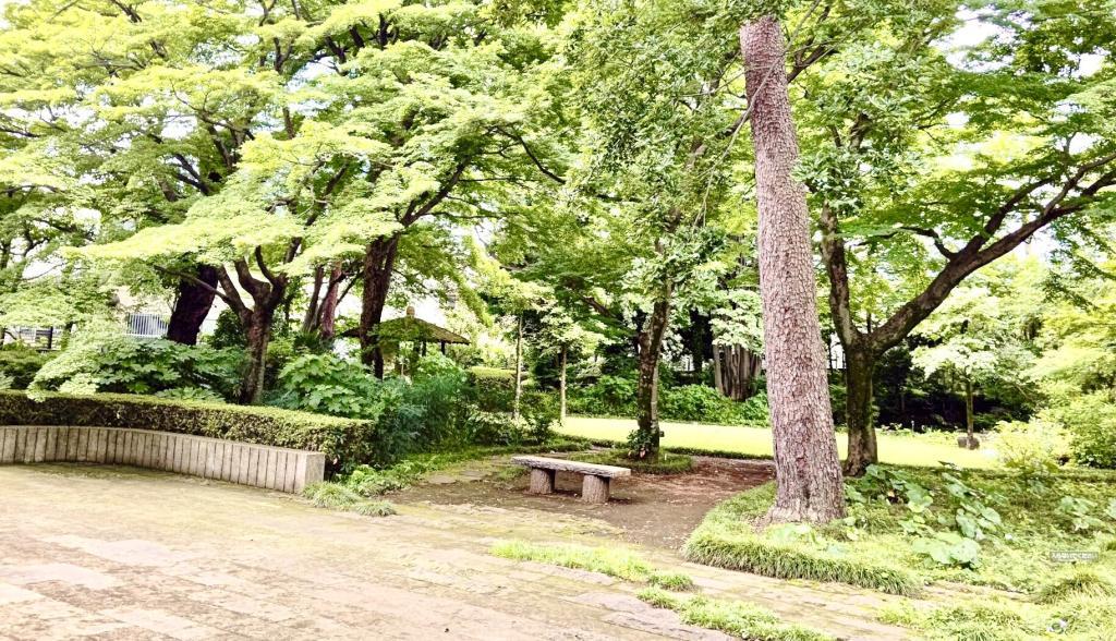 玉川上水