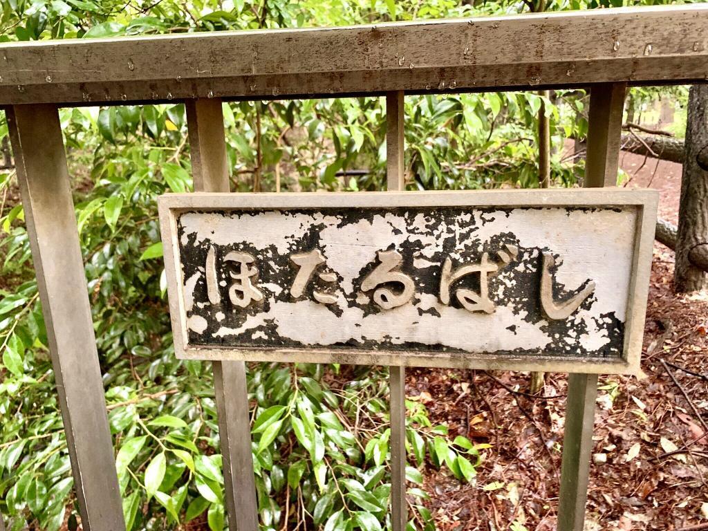 玉川上水