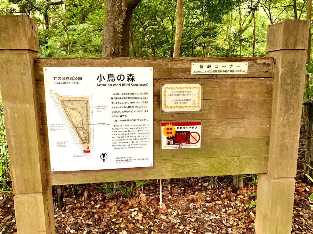 玉川上水