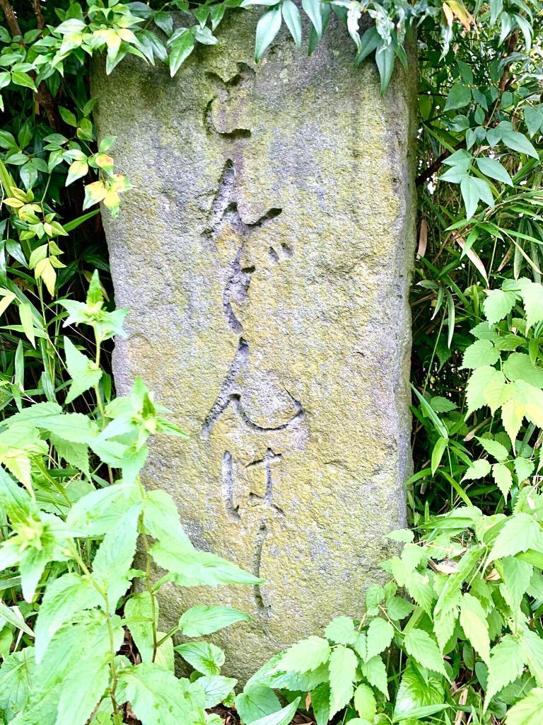 玉川上水