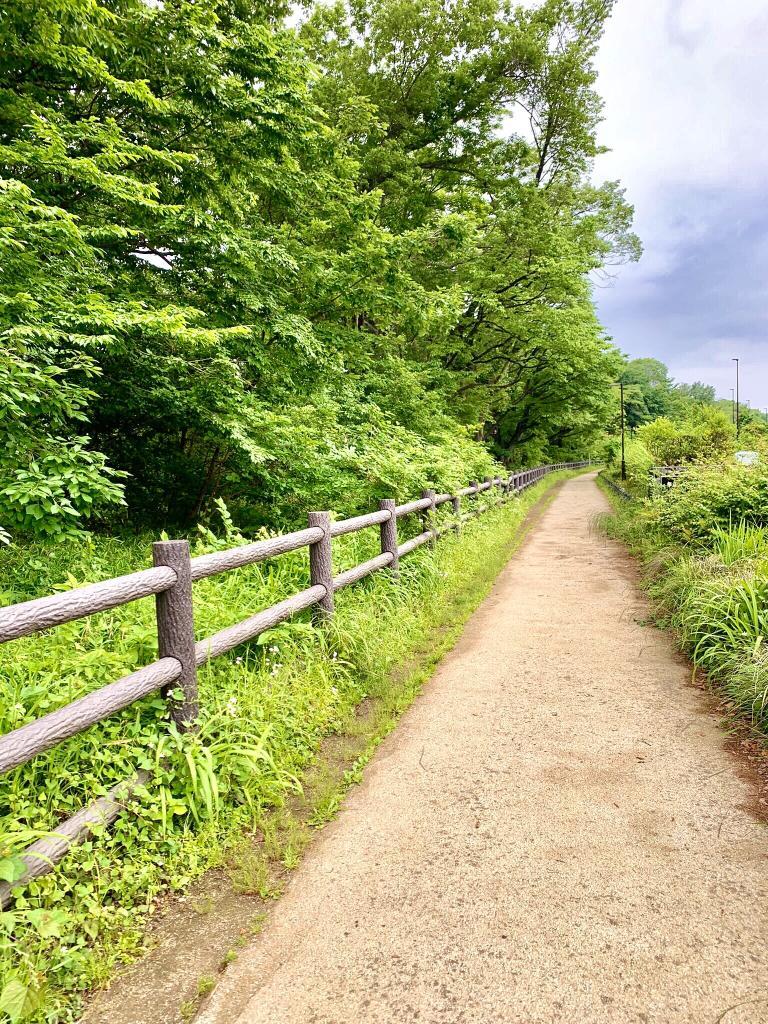 玉川上水