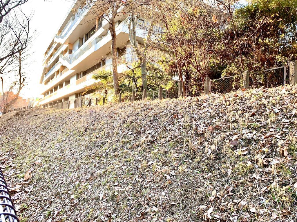 玉川上水