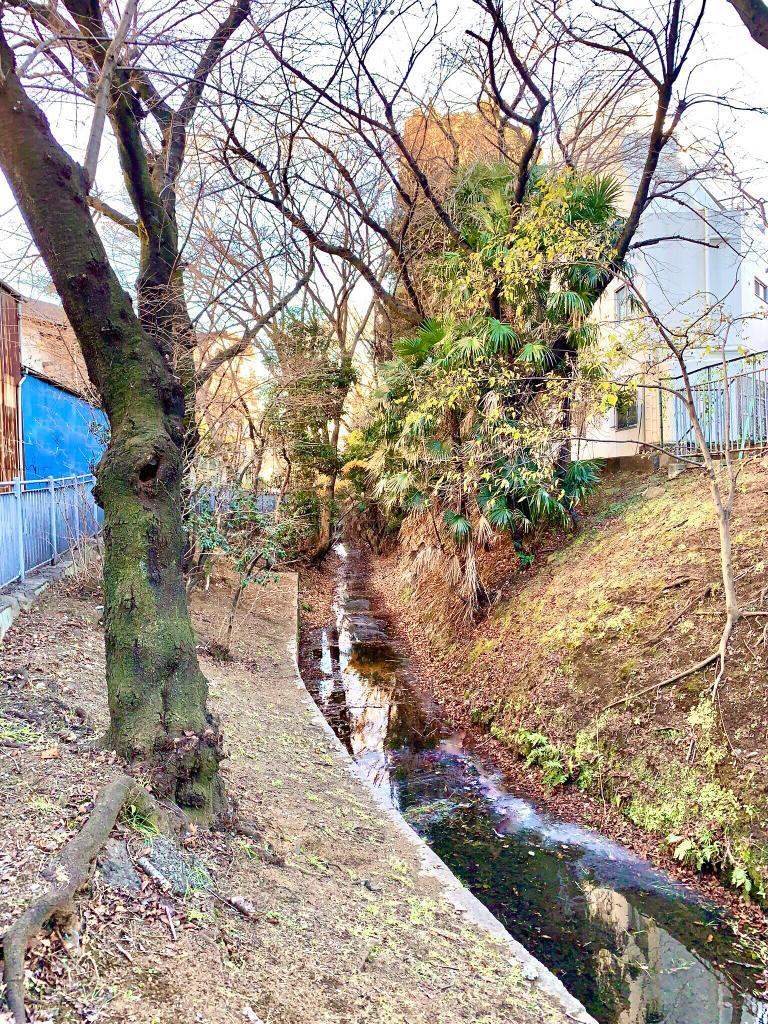 玉川上水