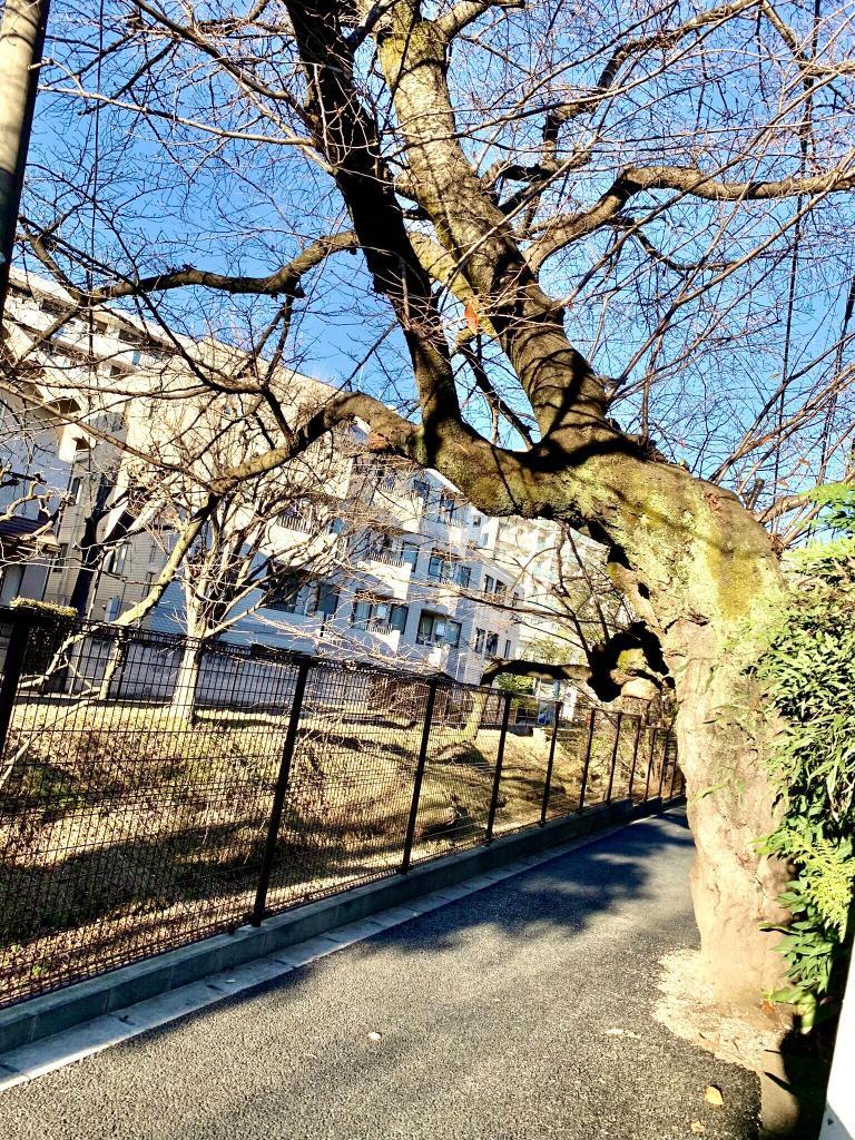 玉川上水
