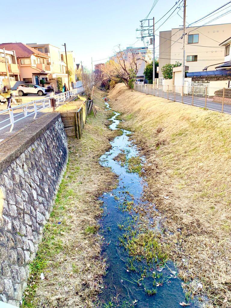 玉川上水