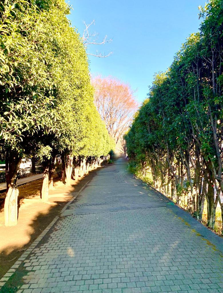 玉川上水