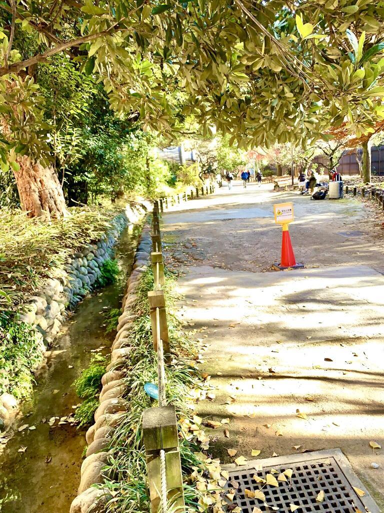 玉川上水
