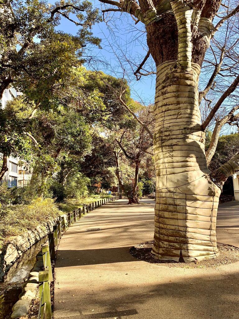 玉川上水