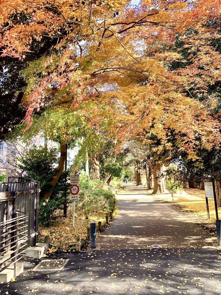 玉川上水