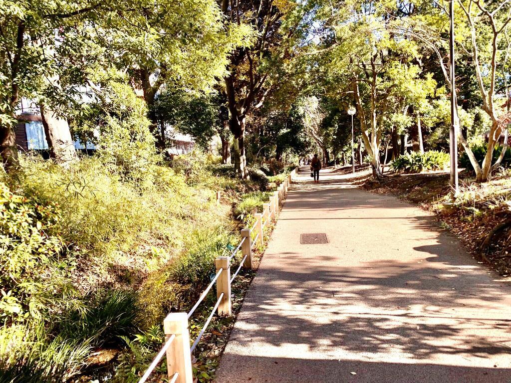 玉川上水