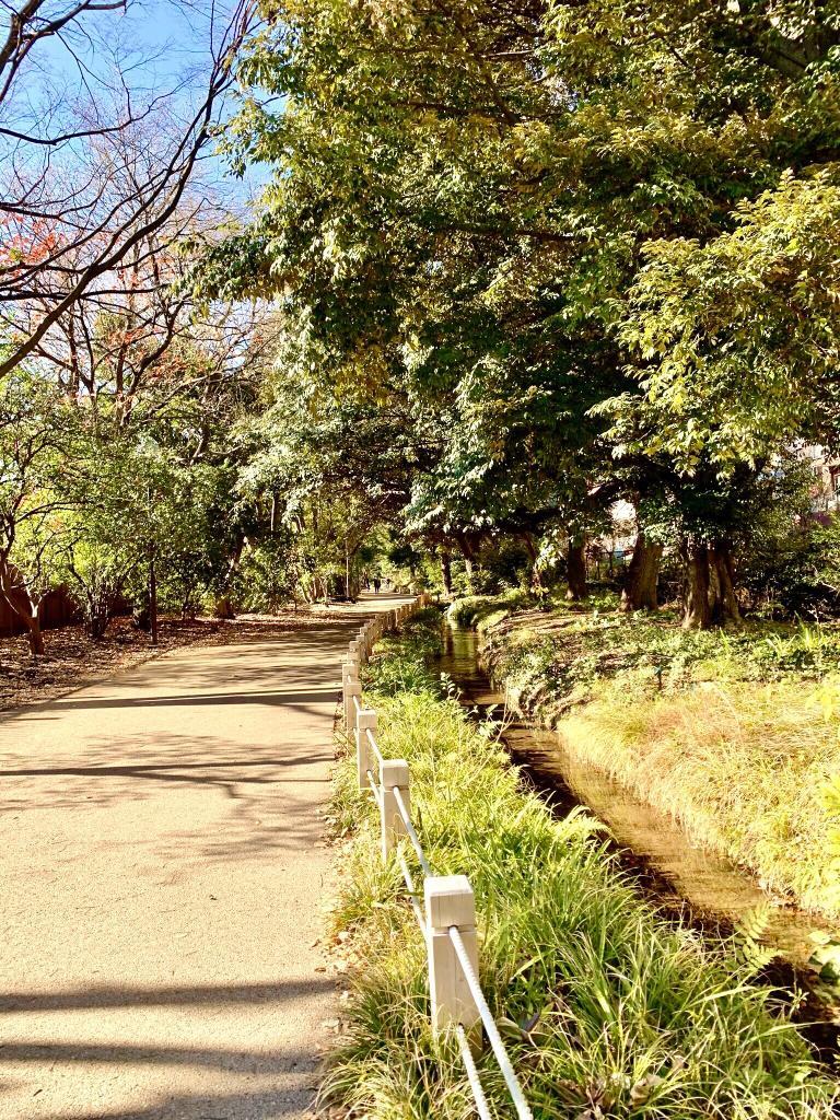玉川上水