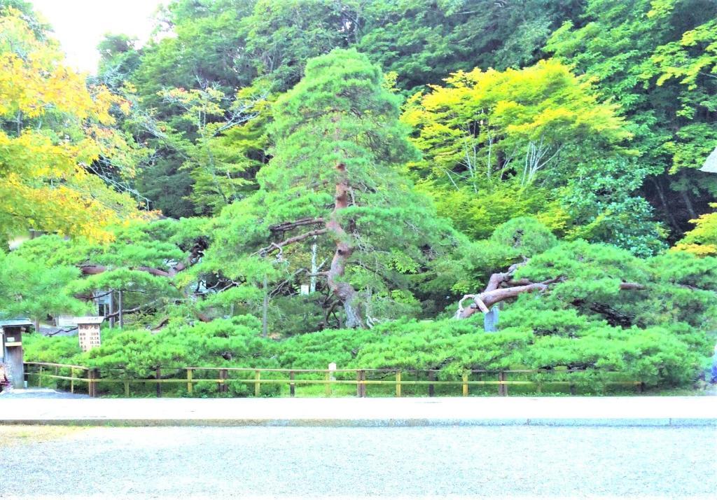 別所