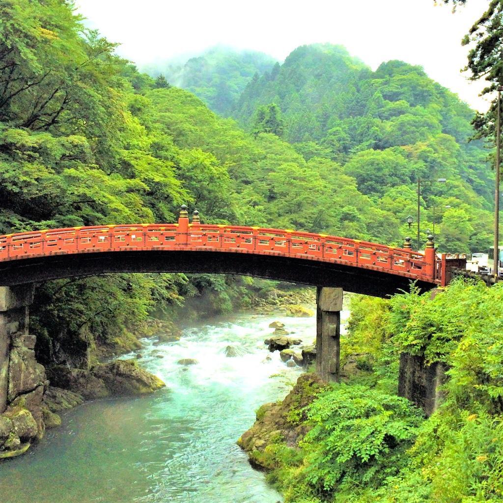 日光