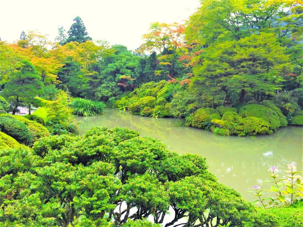 日光