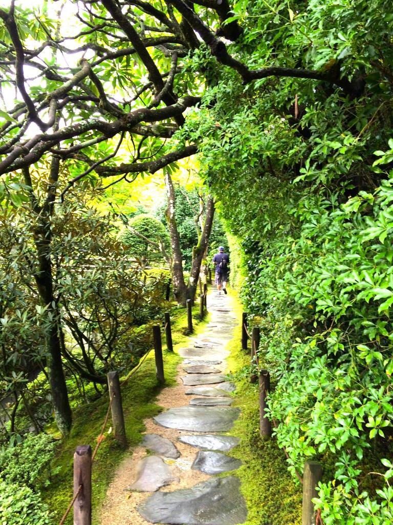 日光