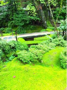 日光　輪王寺三仏堂前の逍遥園