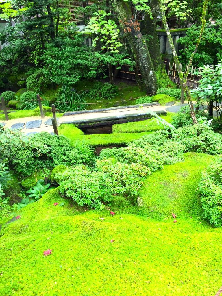 日光