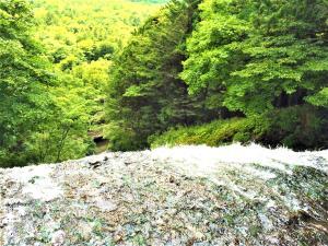 日光　湯滝　上から