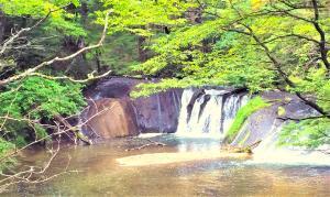 日光　戦場ヶ原・その周囲