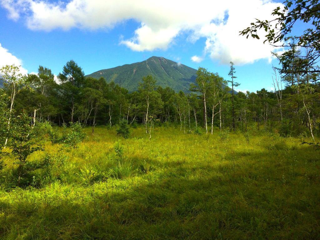日光　戦場ヶ原からの男体山