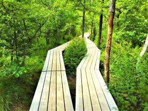 日光　戦場ヶ原・その周囲