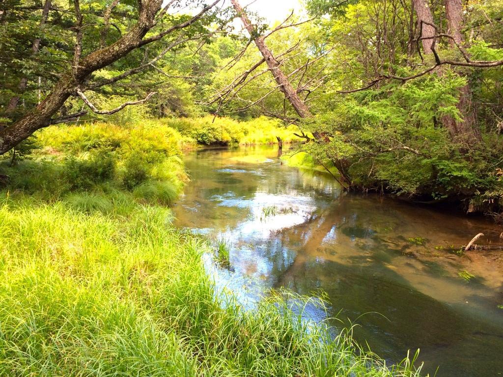 日光　戦場ヶ原・その周囲