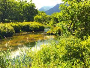 日光　戦場ヶ原・その周囲