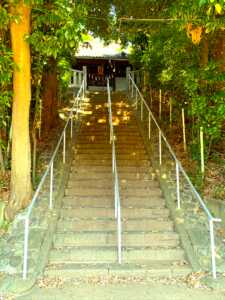 川越 浅間神社古墳の様子