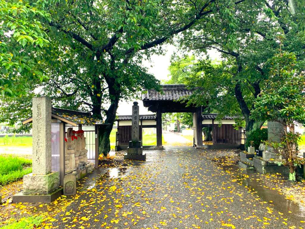 新河岸川・赤間川