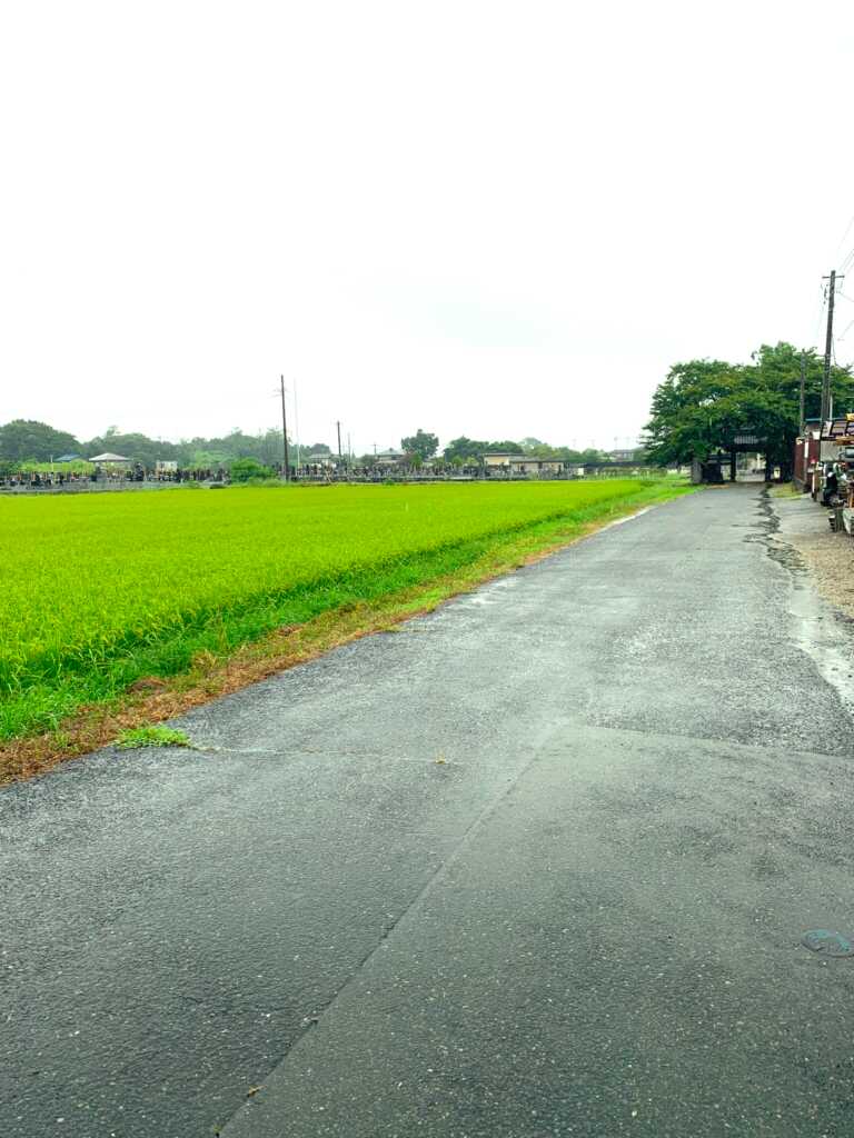 新河岸川・赤間川
