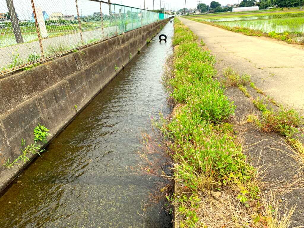 新河岸川・赤間川