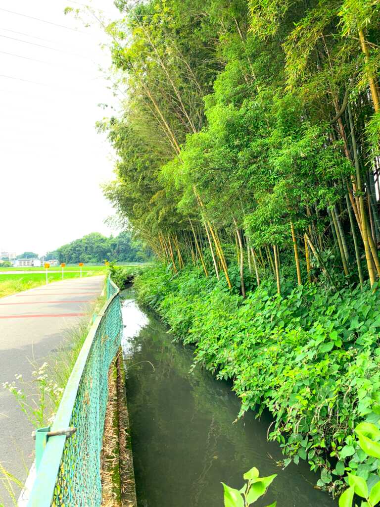 新河岸川・赤間川