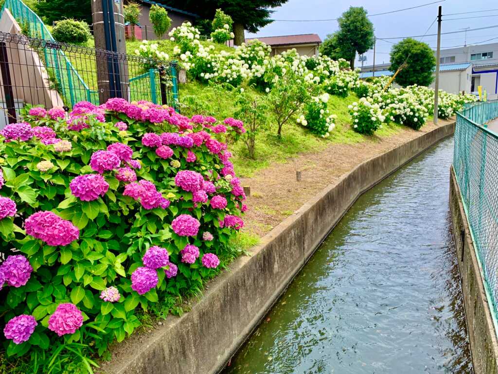 鎌倉街道上道