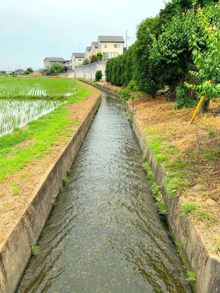 新河岸川・赤間川