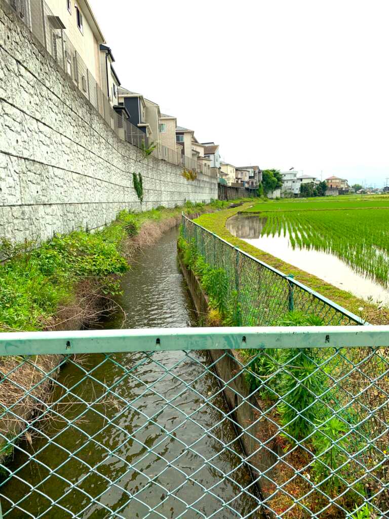新河岸川・赤間川