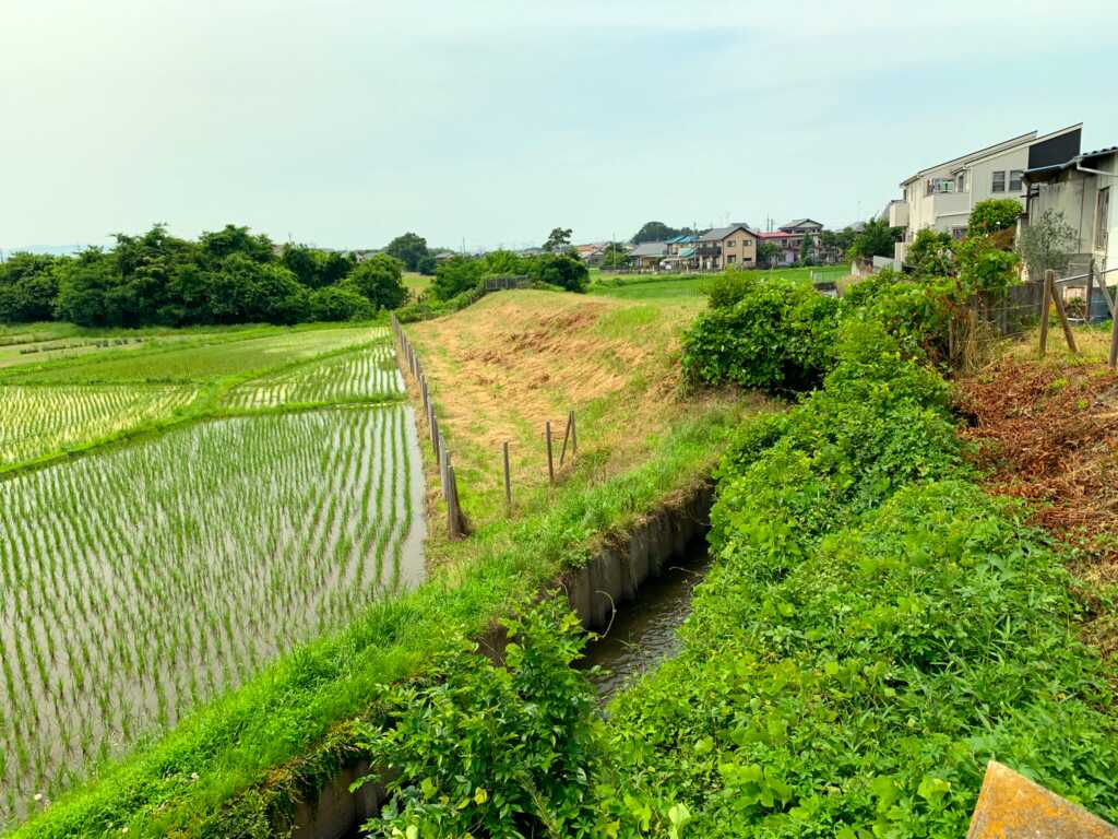 新河岸川・赤間川